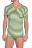 Diesel V-Shirt Michael Groen-Grijs