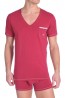 Diesel V-Shirt Jesse Rood 2